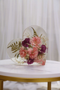 Image 5.webp