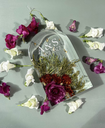 Image 2.webp