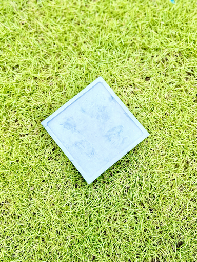 [Square Dish] Luxe Equa